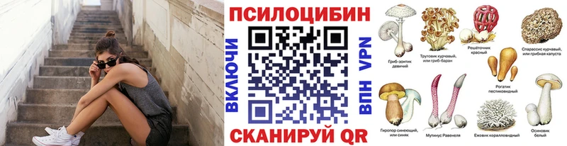 Галлюциногенные грибы Psilocybe  ОМГ ОМГ рабочий сайт  Высоковск 